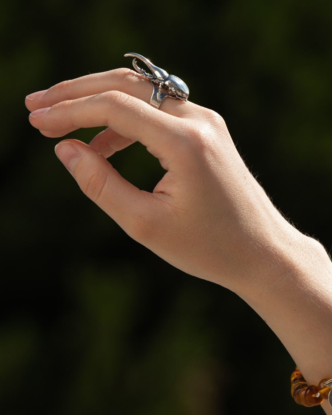 Anillo escarabajo hércules