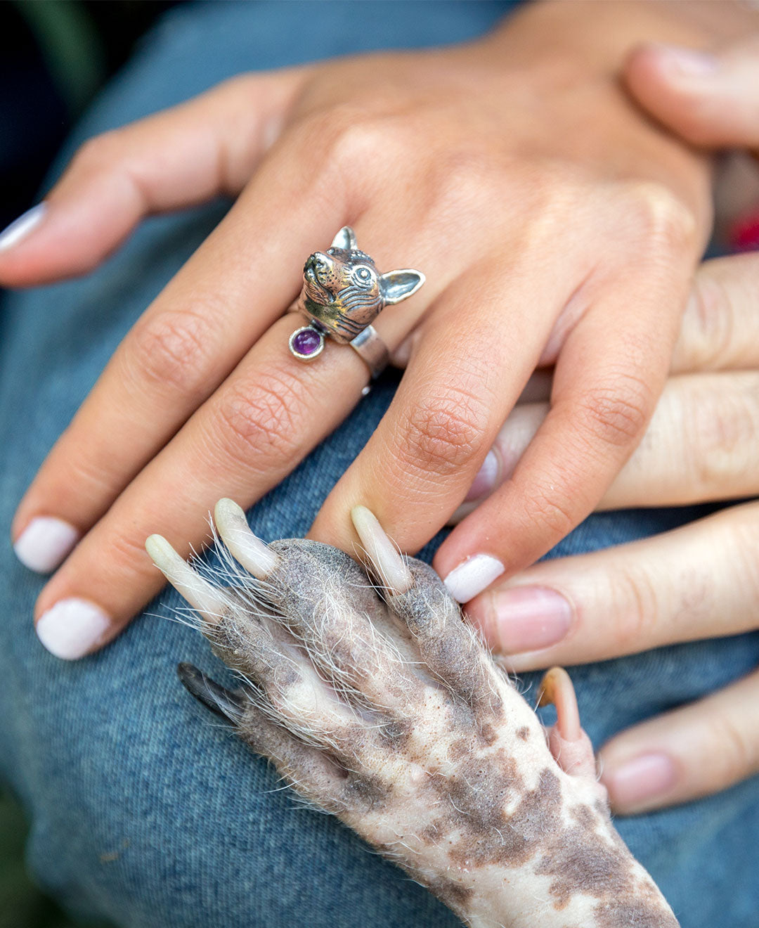 Anillo Cabeza de Xoloescuincle