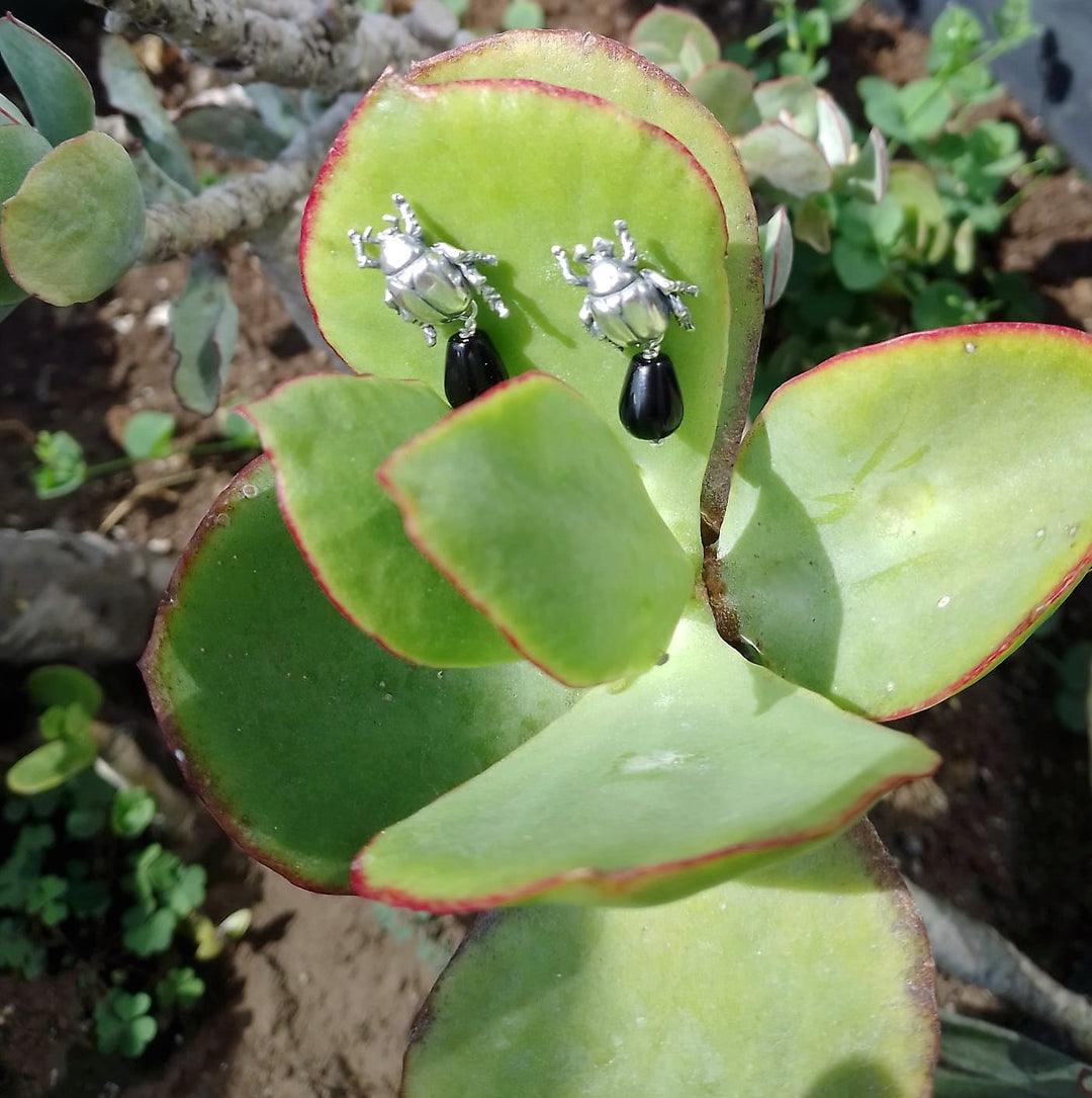 Aretes Escarabajo Bola